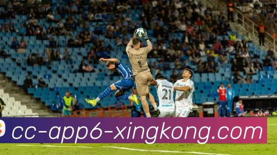星空体育APP 封面图
